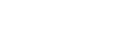 Molior logo